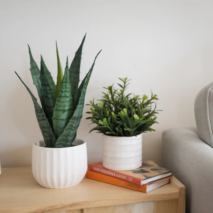 Budget-Friendly Home Decor Stylish Spaces on a Dime