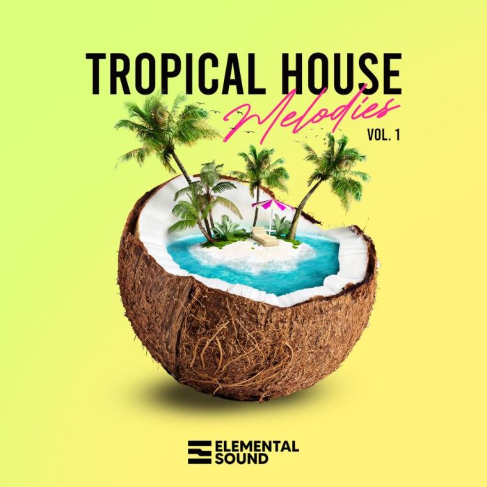 Tropical house style