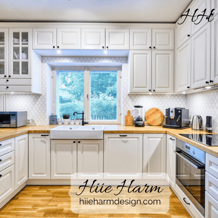 Small clean American Classic kitchen