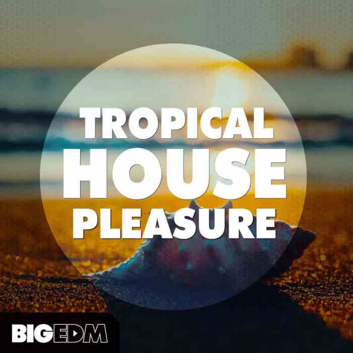 Tropical house style