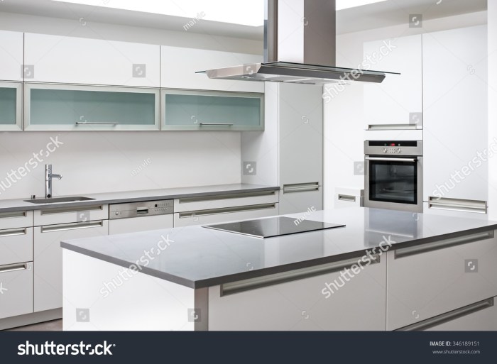 Stainless steel appliances in classic kitchens